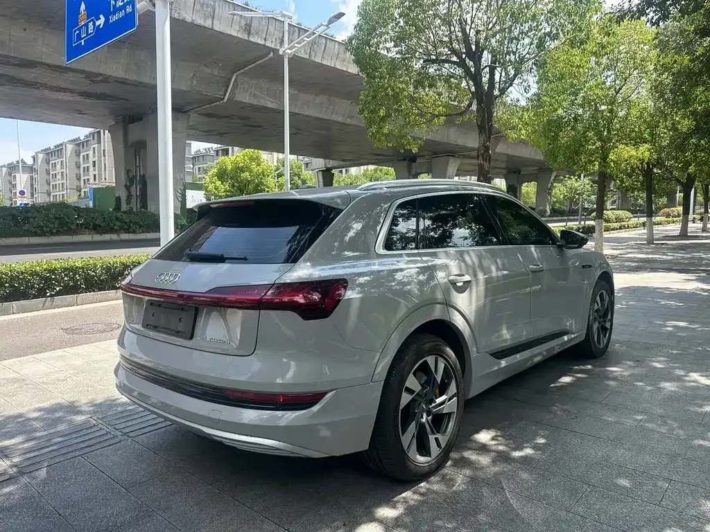 Audi e-tron (Import) — фото 2