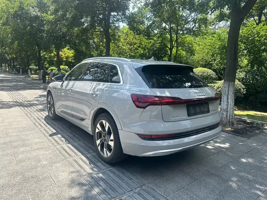 Audi e-tron (Import) — фото 8