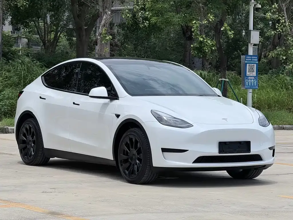 Tesla Model Y — фото 2