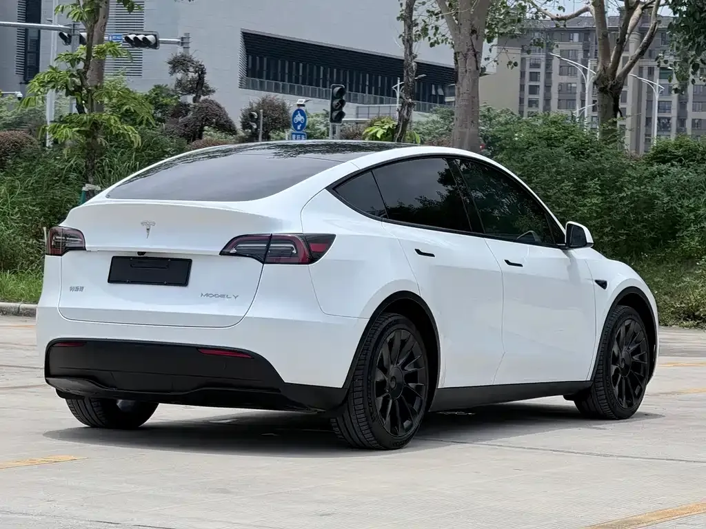 Tesla Model Y — фото 3