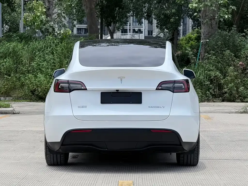Tesla Model Y — фото 10