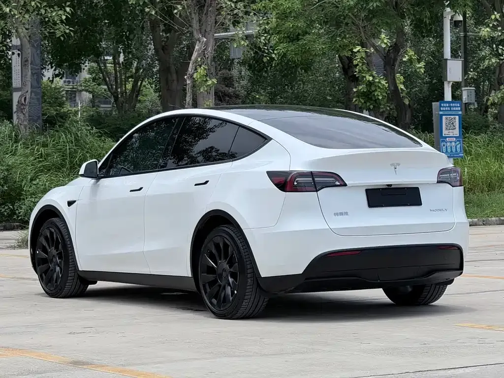 Tesla Model Y — фото 5