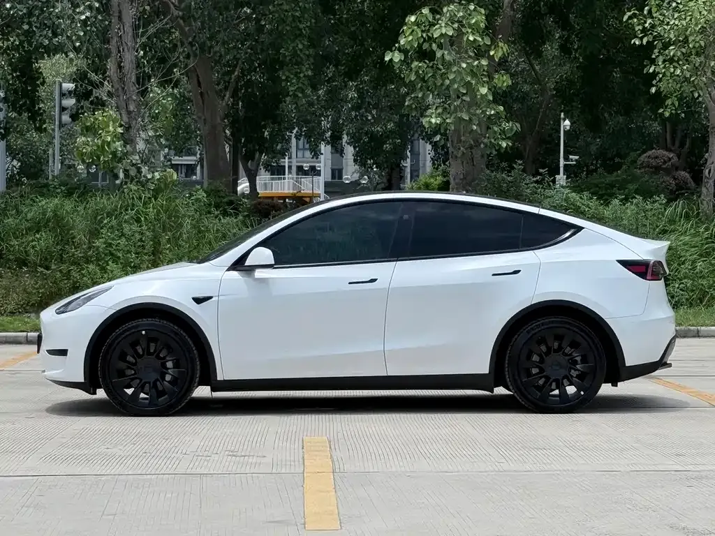 Tesla Model Y — фото 6