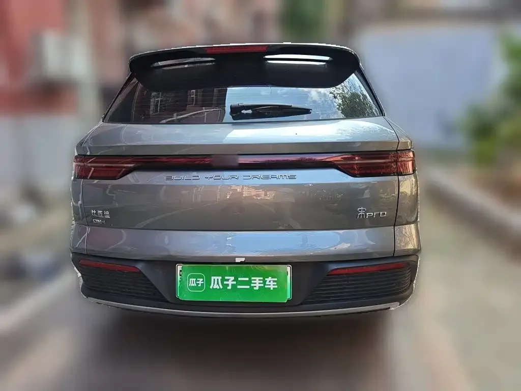 BYD Pro New Energy — фото 6