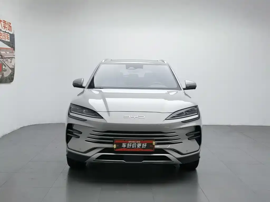 BYD PLUS New Energy 2024 из CN, фото 2