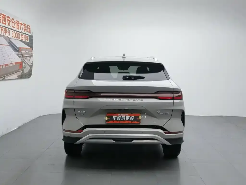 BYD PLUS New Energy 2024 из CN, фото 3