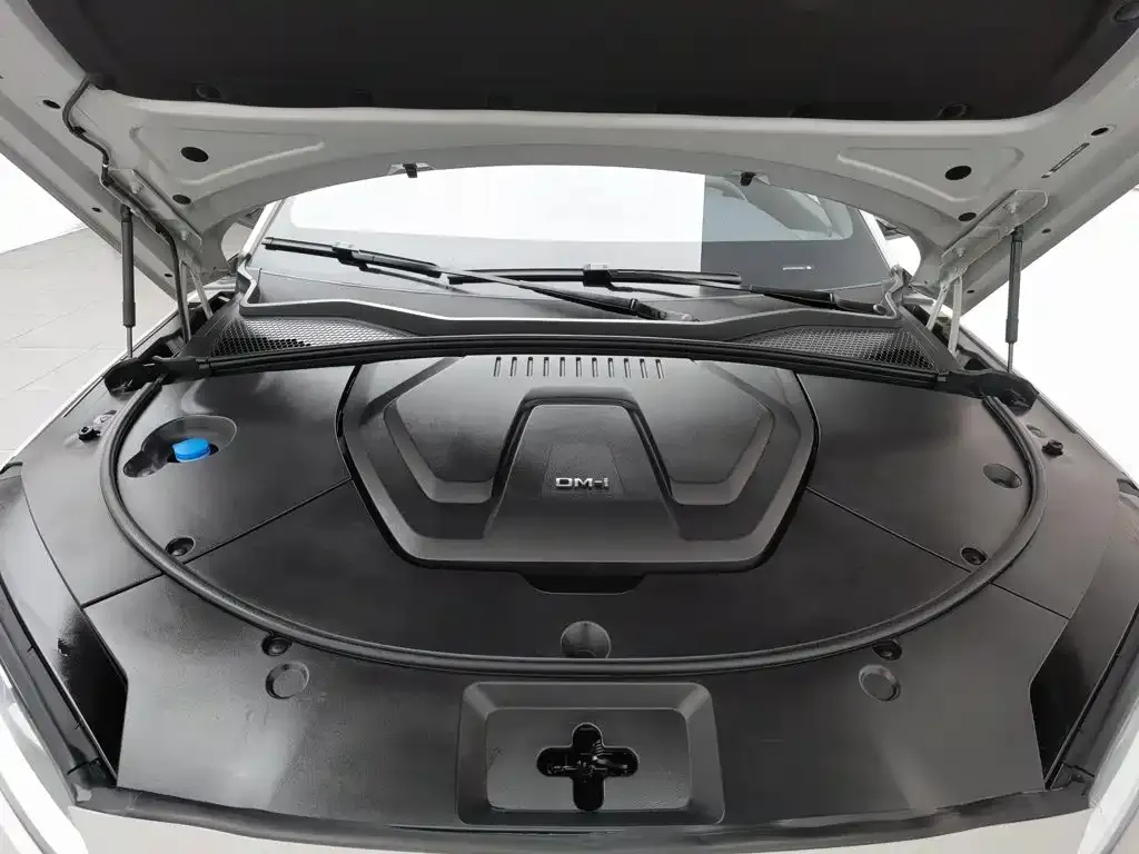 BYD PLUS New Energy 2024 из CN, фото 7