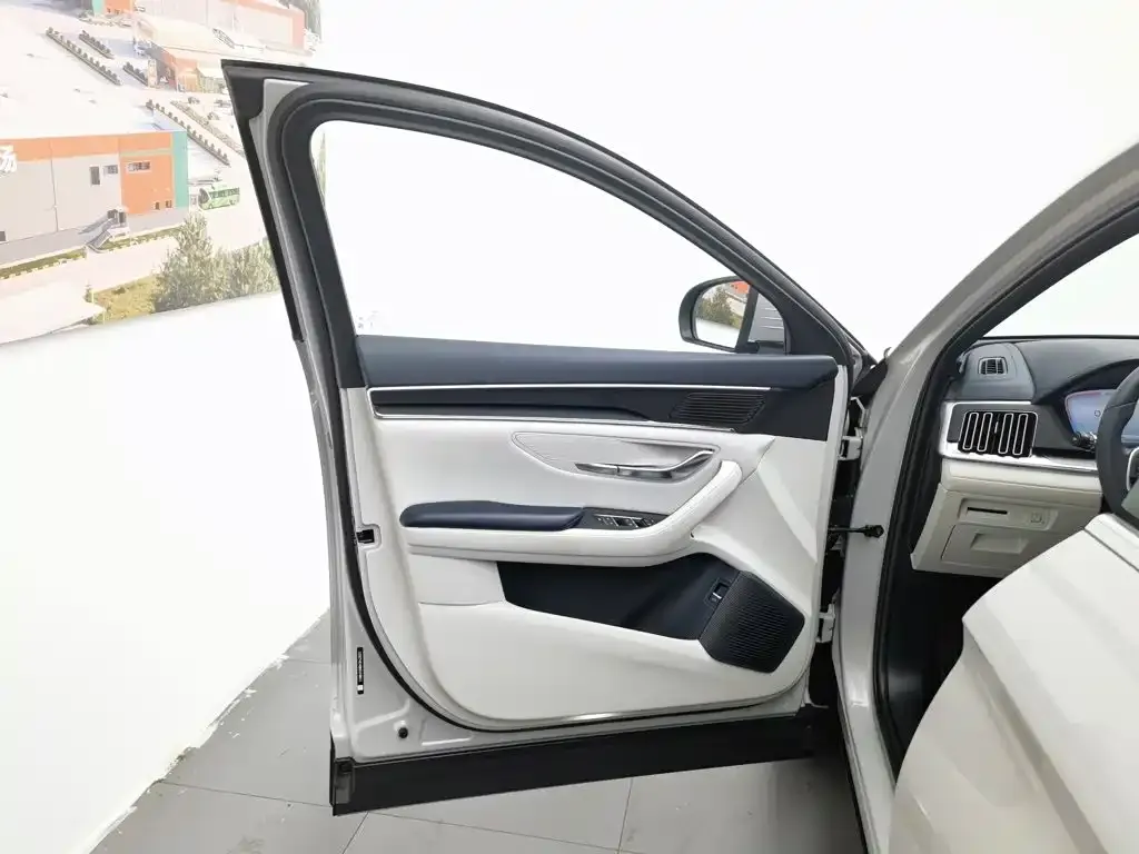 BYD PLUS New Energy 2024 из CN, фото 6
