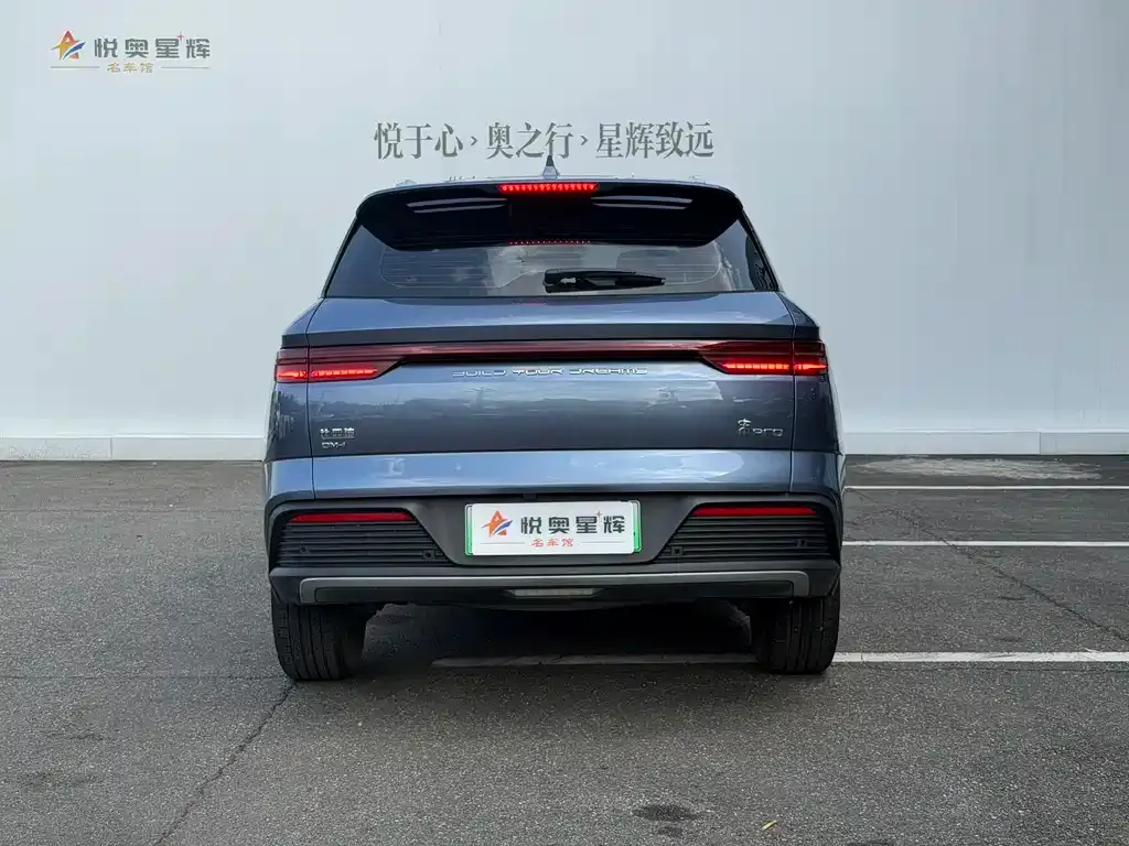BYD Pro New Energy — фото 5