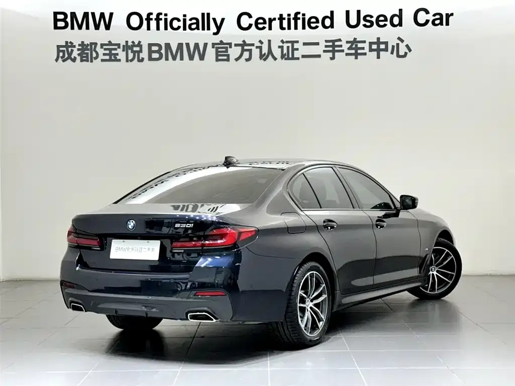 BMW 5 Series (Import) 2023 из CN, фото 8