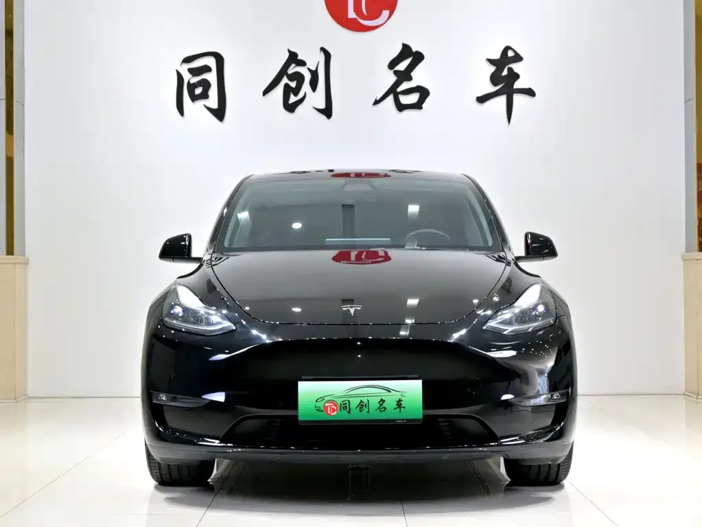 Tesla Model Y — фото 2