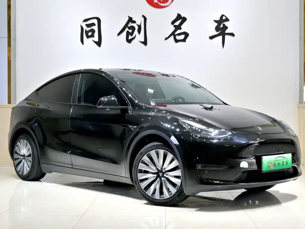 Tesla Model Y — фото 9