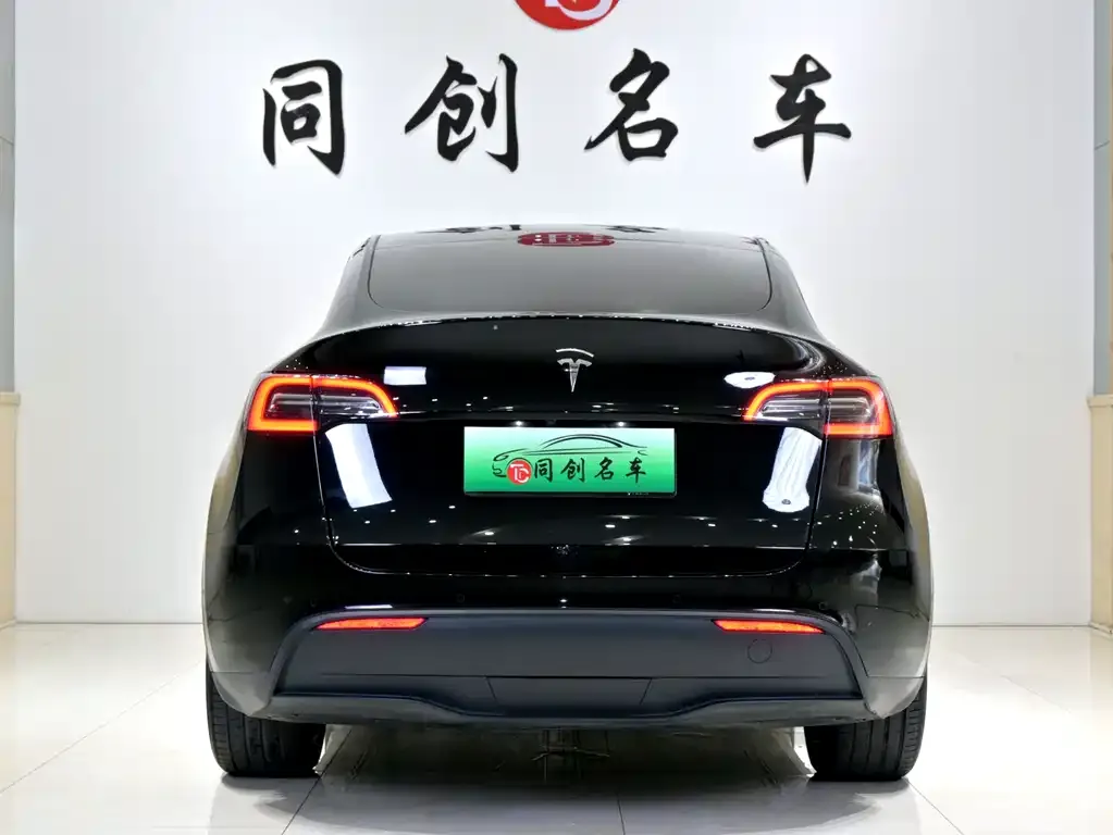 Tesla Model Y — фото 3
