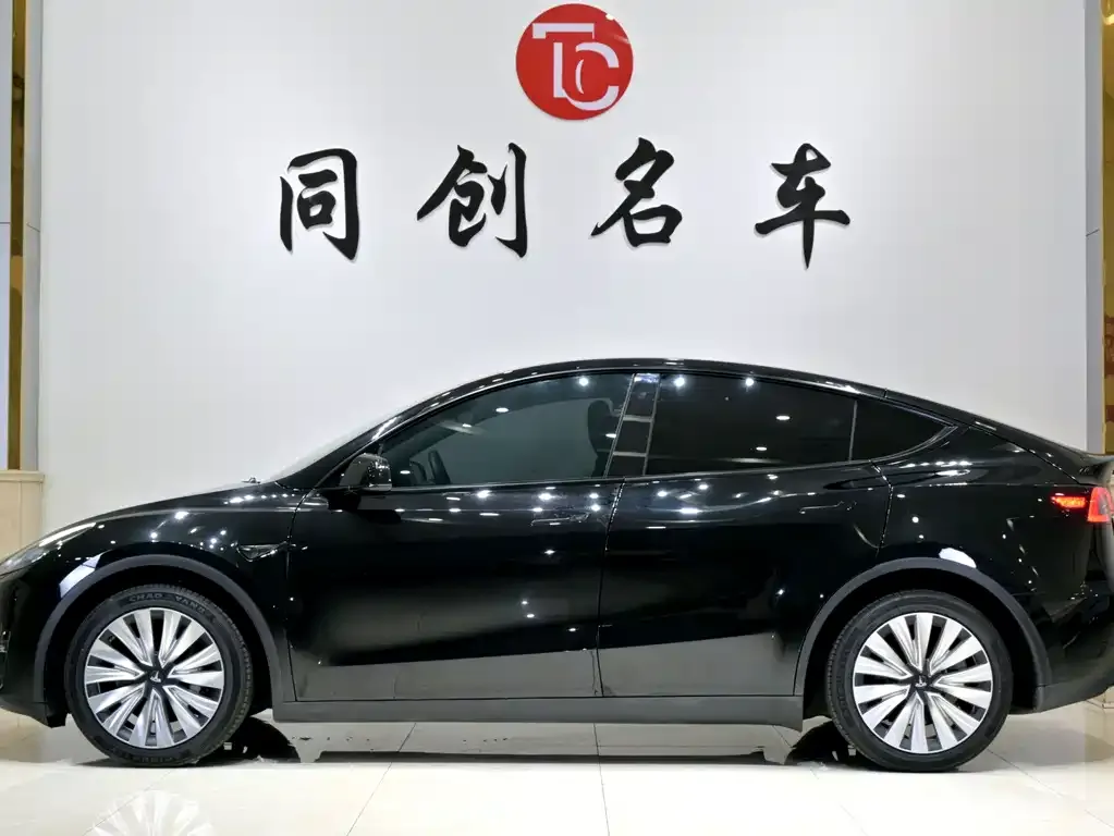 Tesla Model Y — фото 10