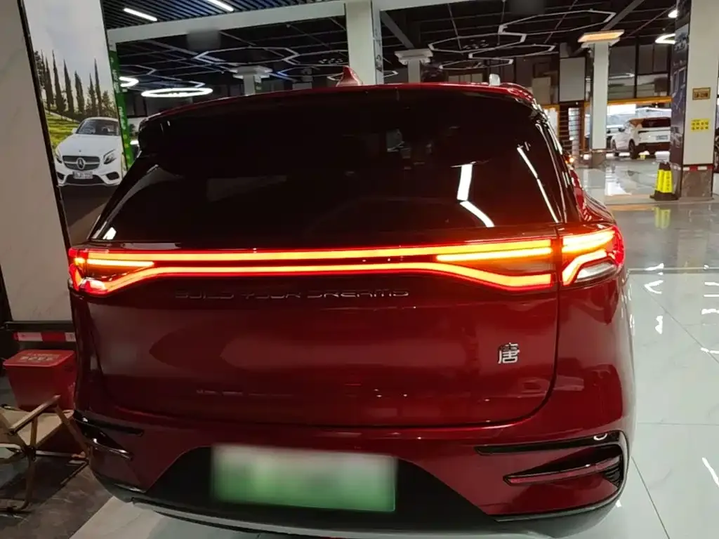 BYD Tang New Energy — фото 10