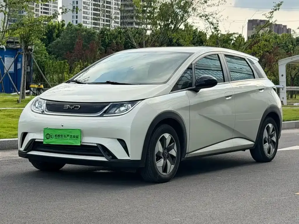 BYD Dolphin — фото 1