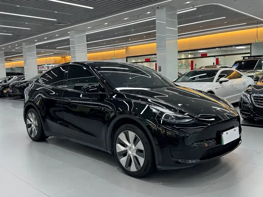 Tesla Model Y — фото 3