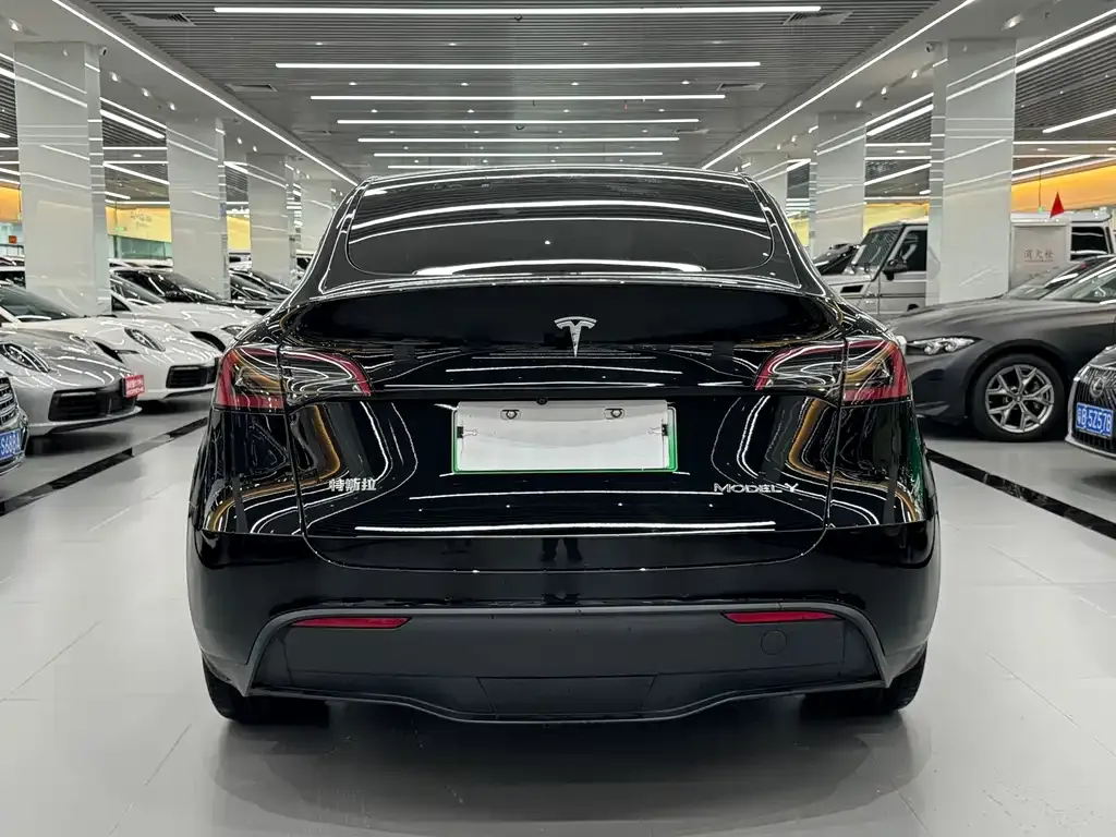 Tesla Model Y — фото 2