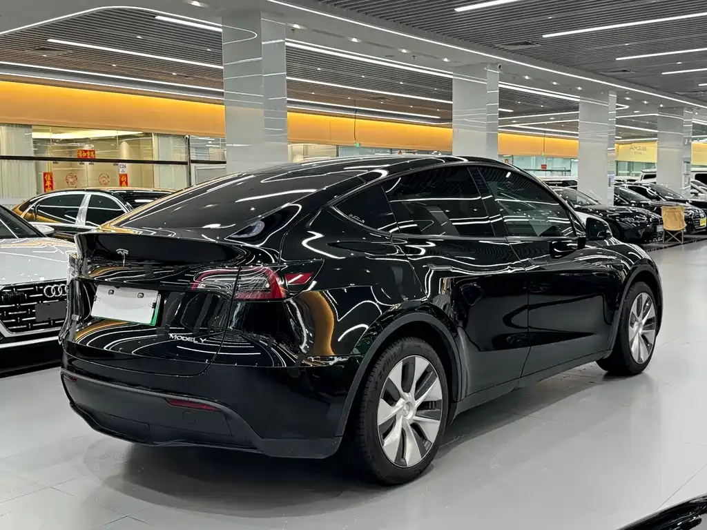 Tesla Model Y — фото 9