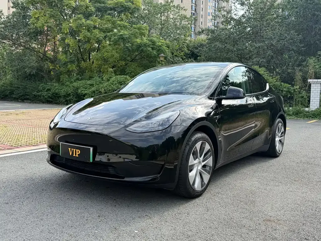 Tesla Model Y — фото 1