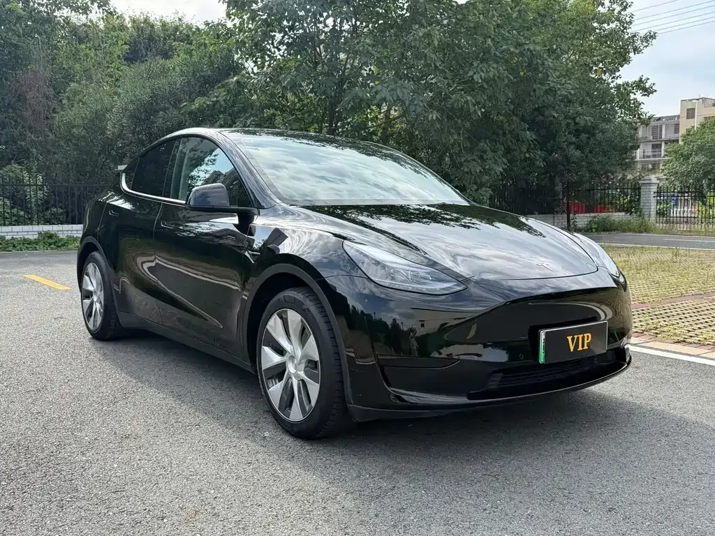Tesla Model Y — фото 9