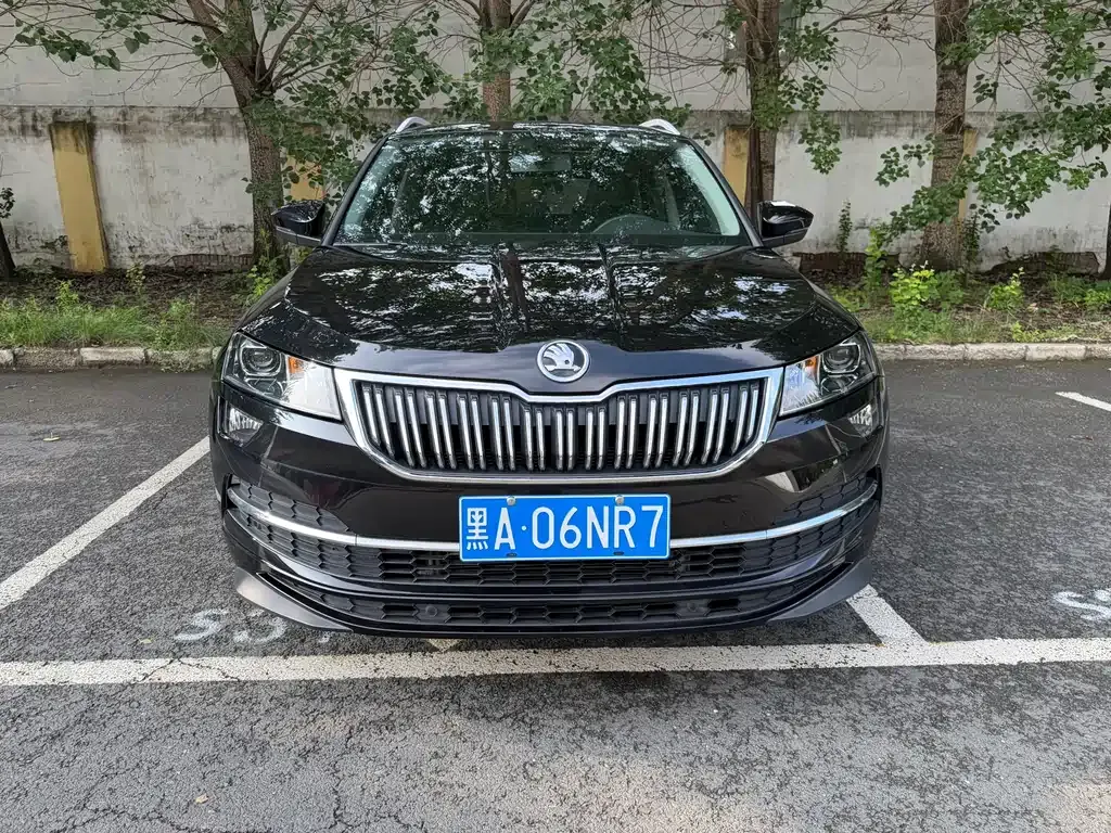 Skoda Karoq — фото 9