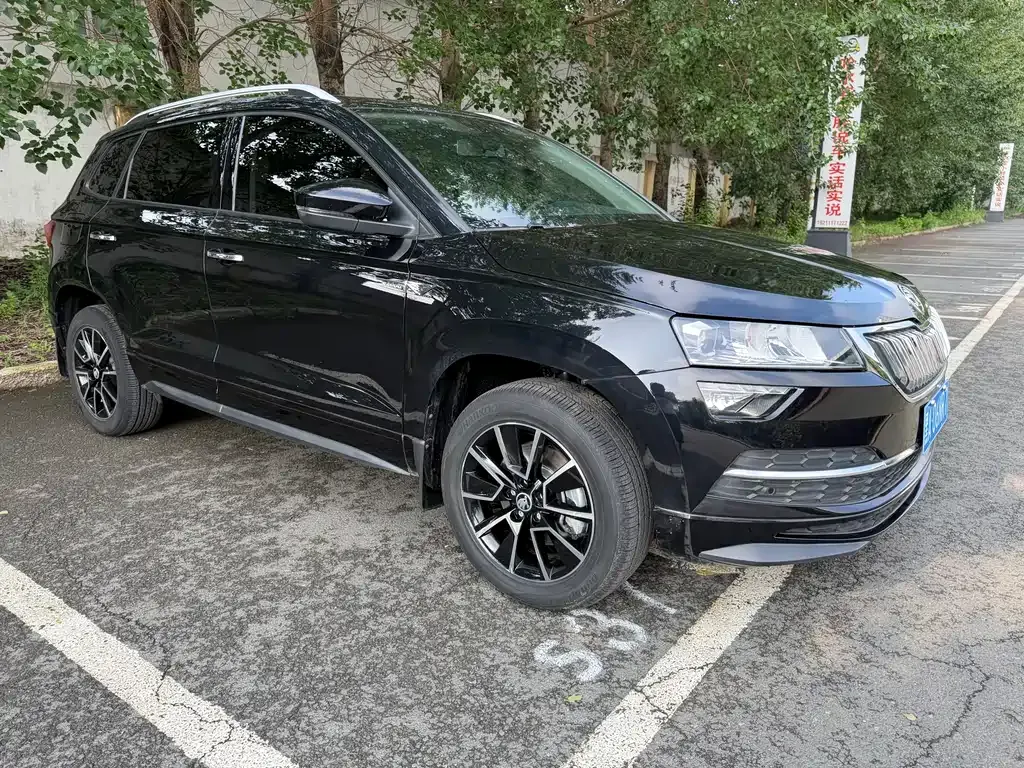 Skoda Karoq — фото 6