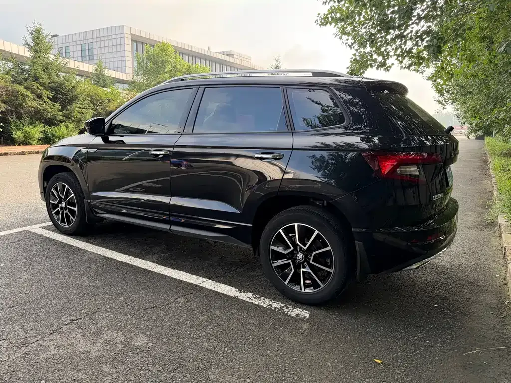 Skoda Karoq — фото 7