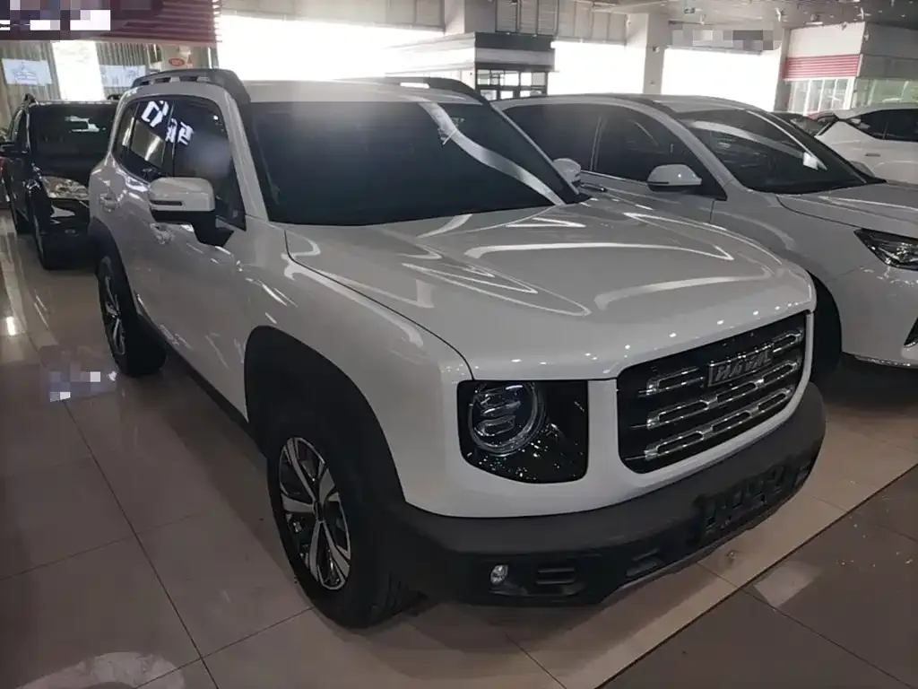 Haval Big Dog — фото 6