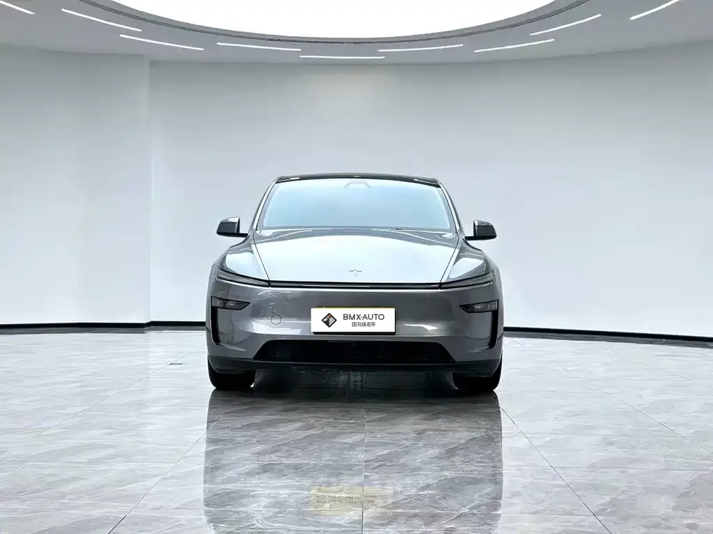 Tesla Model Y — фото 5