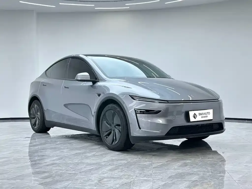 Tesla Model Y — фото 8