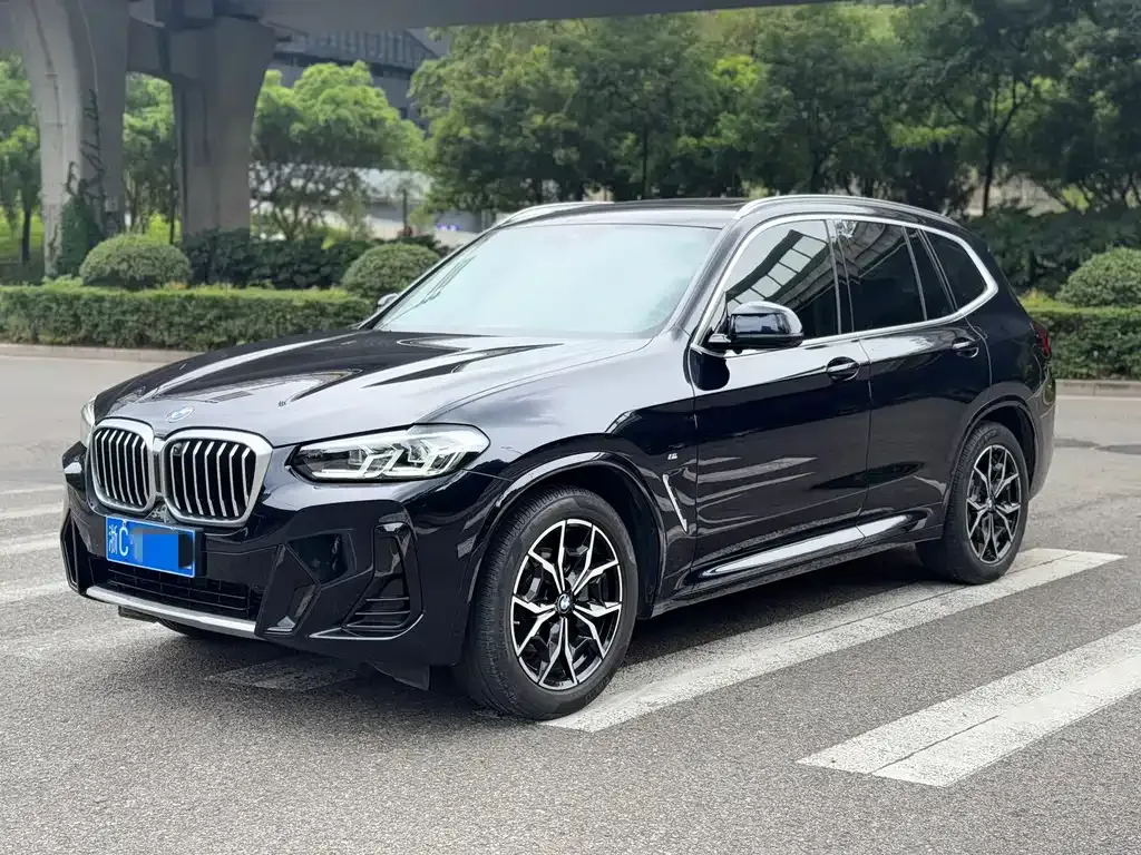 BMW X3 — фото 1