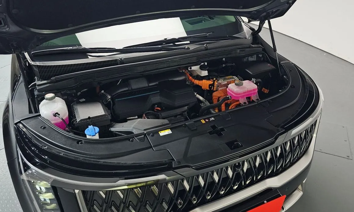 Kia Carnival — фото 10