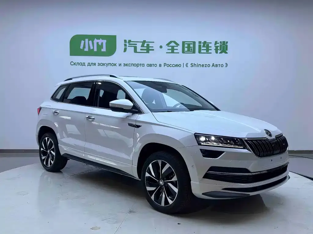 Skoda Karoq — фото 6