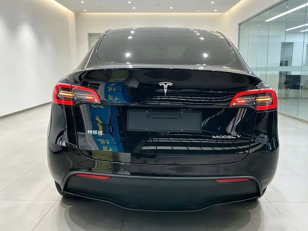 Tesla Model Y — фото 10