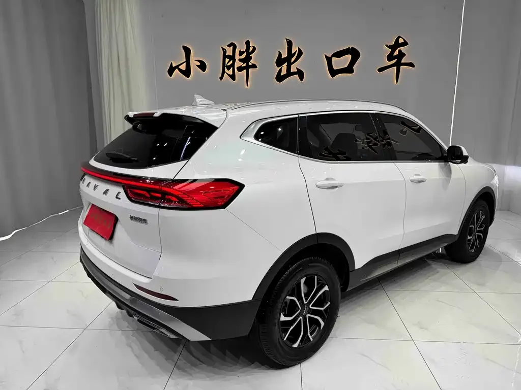 Haval H6 — фото 7