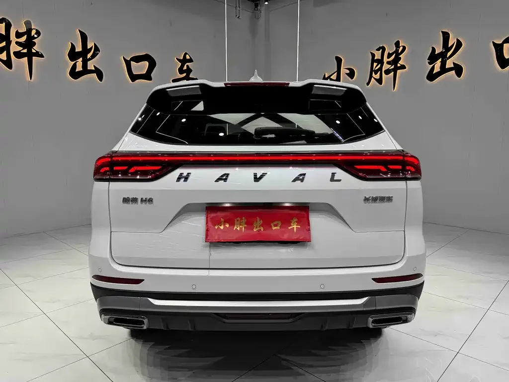 Haval H6 — фото 5