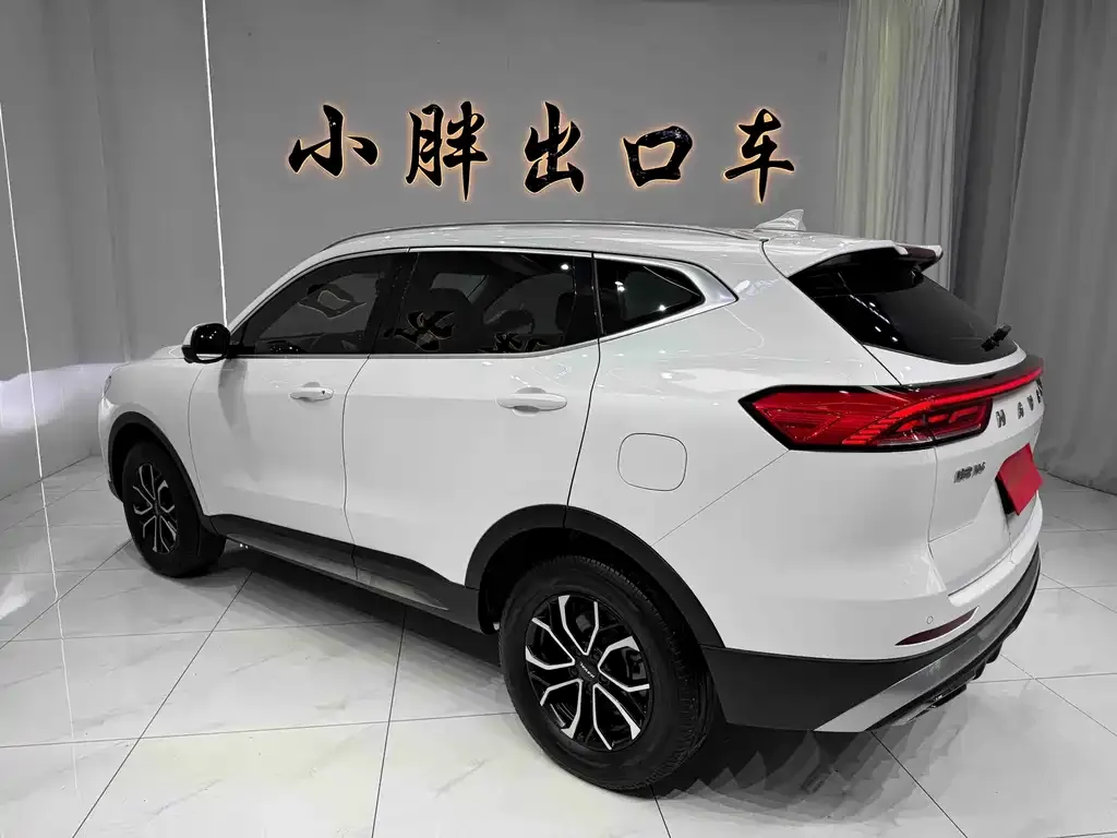 Haval H6 — фото 4