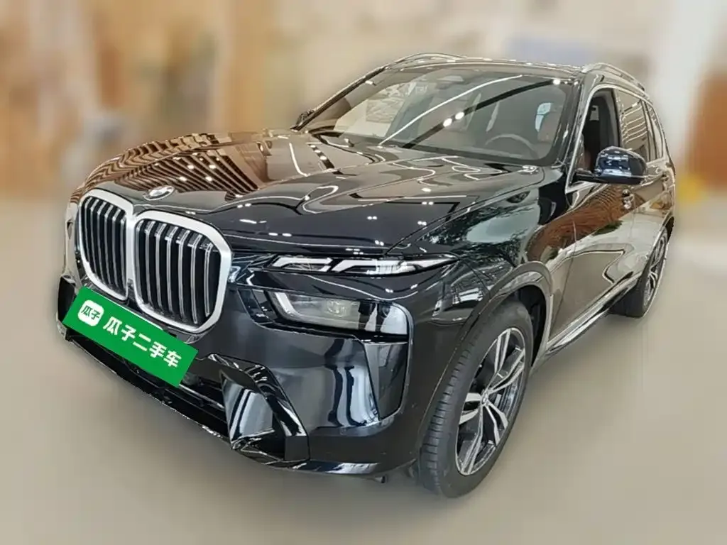 BMW X7 — фото 1