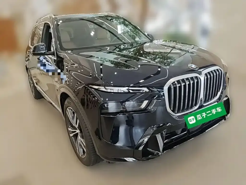 BMW X7 — фото 9