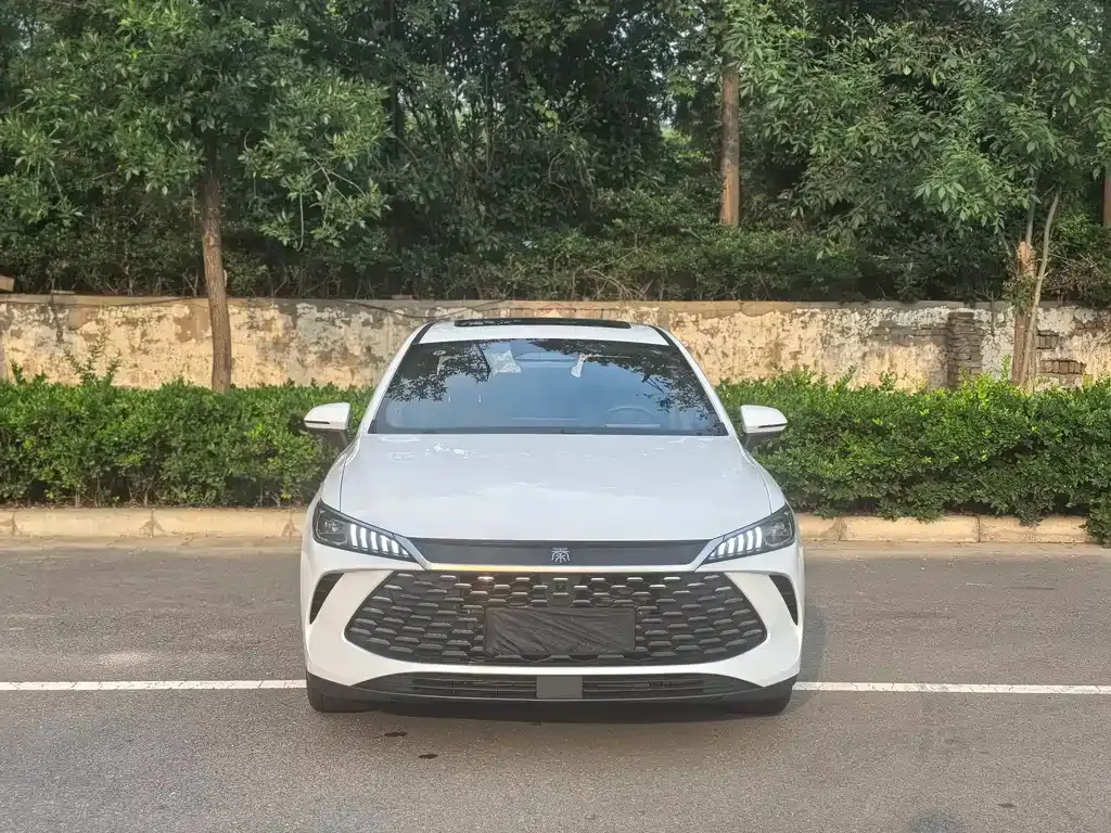 BYD Qin PLUS — фото 10