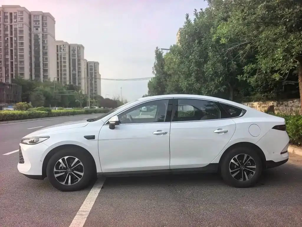 BYD Qin PLUS — фото 3