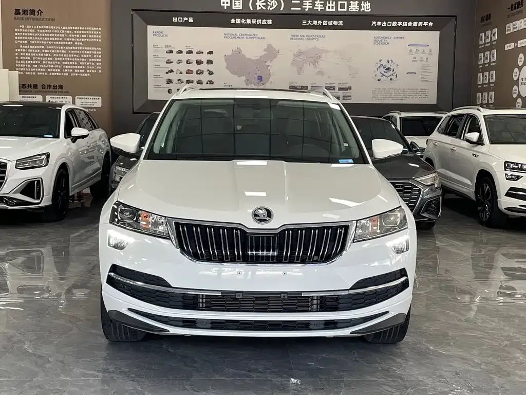 Skoda Karoq — фото 6