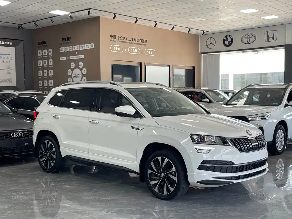 Skoda Karoq — фото 10