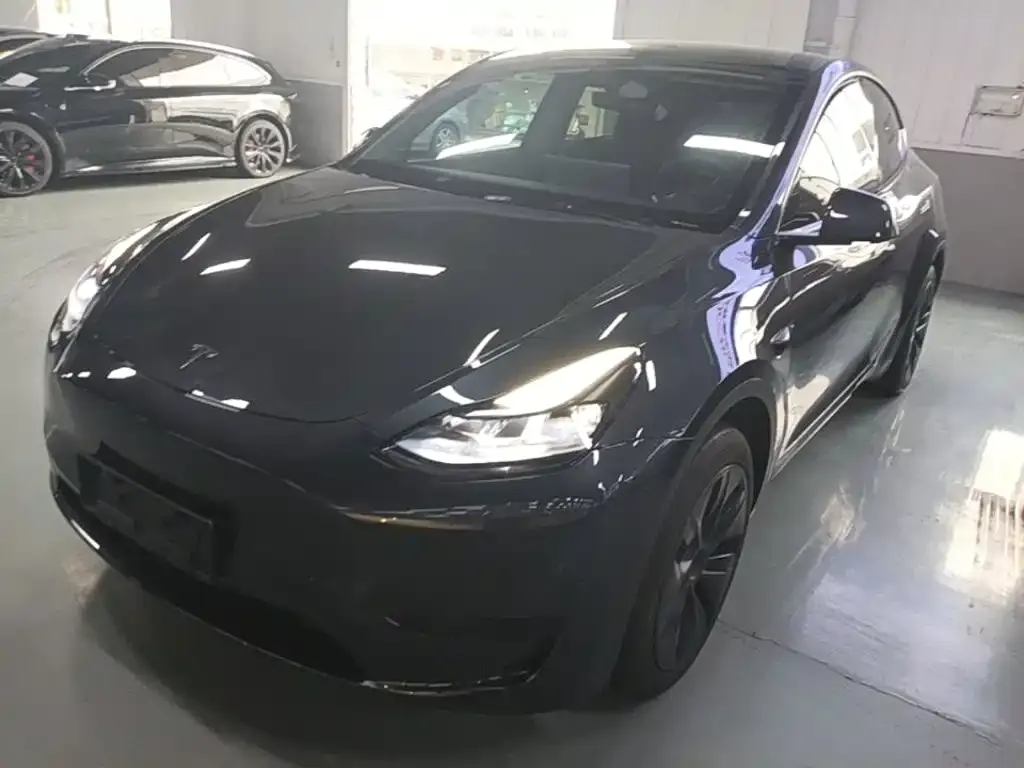 Tesla Model Y — фото 8