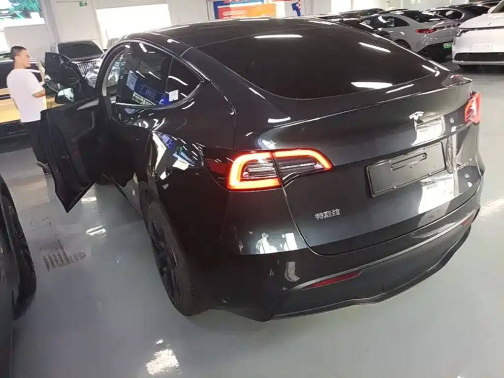 Tesla Model Y — фото 9