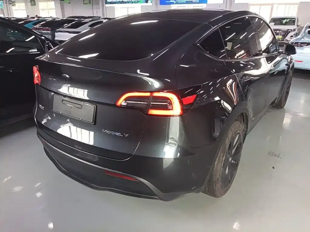 Tesla Model Y — фото 10