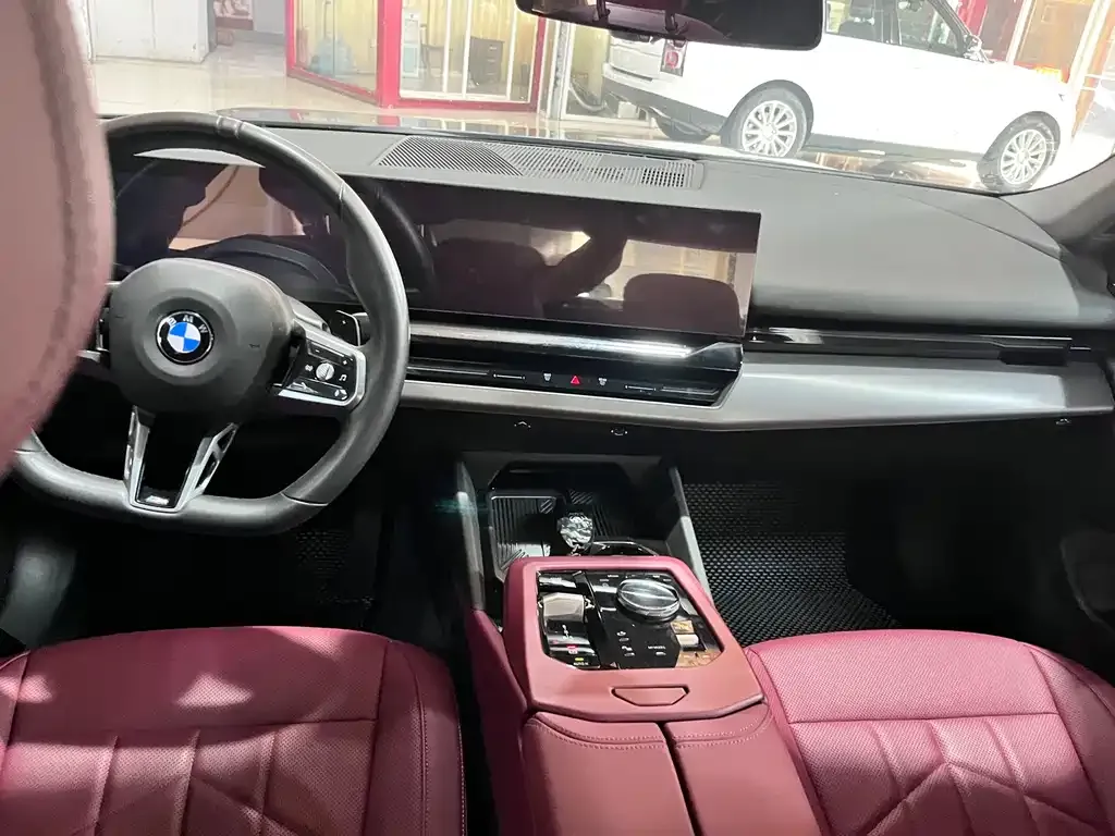BMW 5 Series 2024 из CN, фото 6