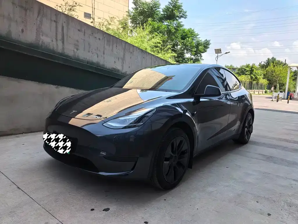 Tesla Model Y — фото 9