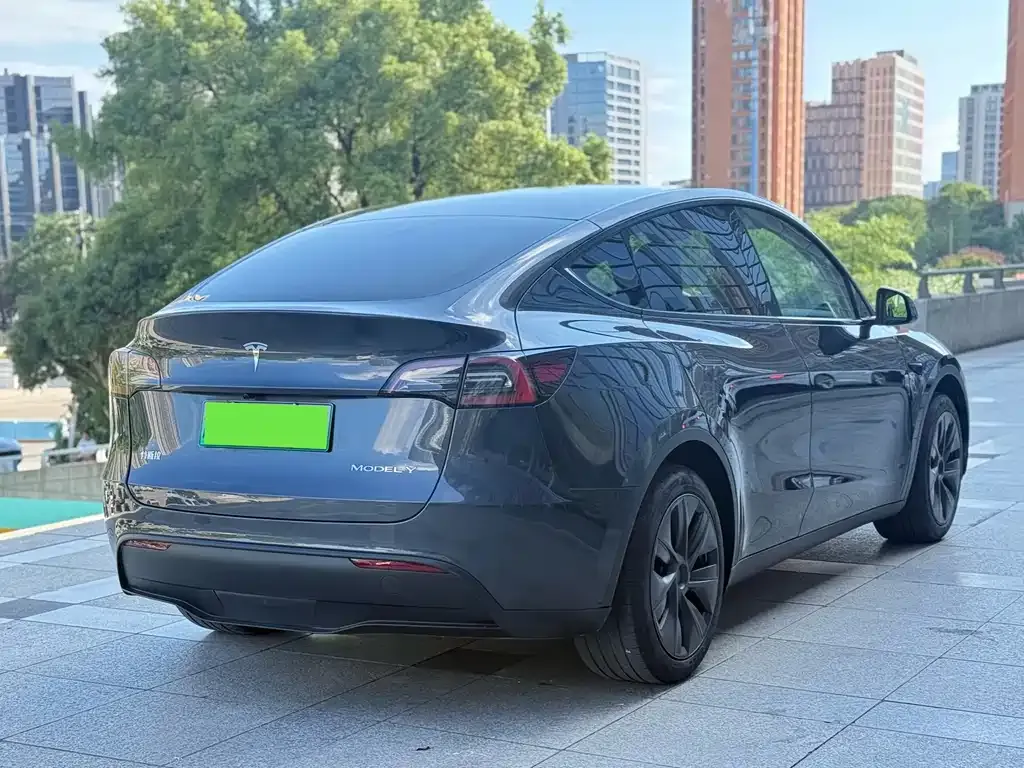 Tesla Model Y — фото 6